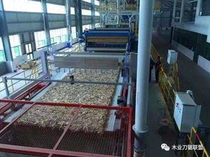 小汽车轮胎什么牌子排名最好，很多人第一步就错了