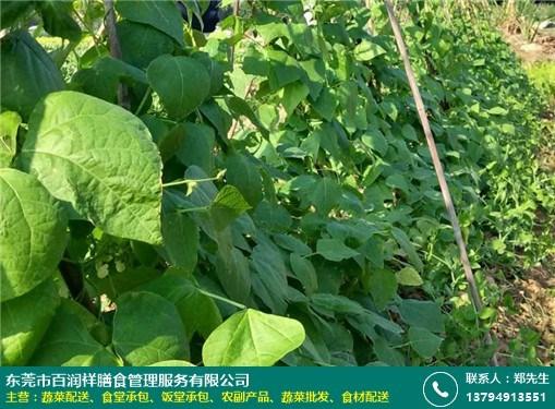 小汽车轮胎多久更换，老师傅教你避开常见坑