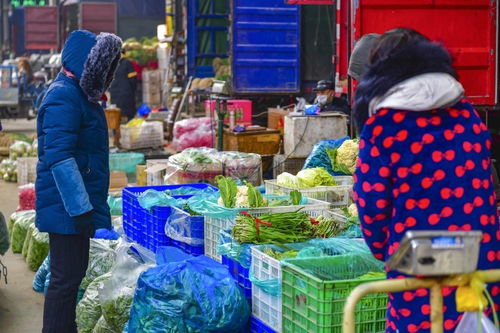 中国汽车轮胎十大品牌排名，很多人第一步就错了