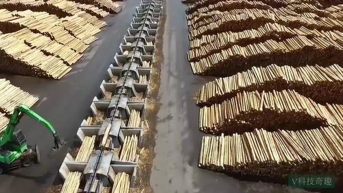 小汽车轮胎规格参数对照表图片大全，这几个细节别忽略